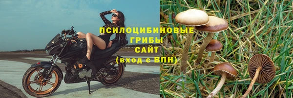 MESCALINE Богородицк